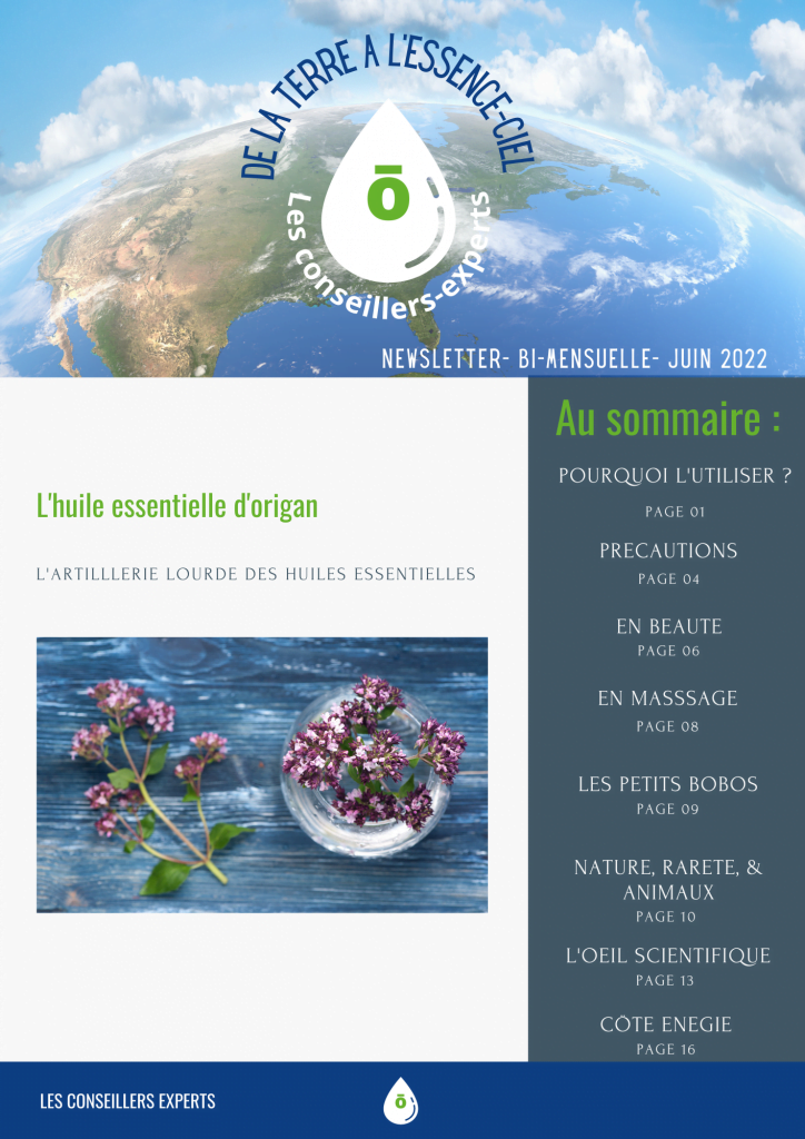 Couverture de la newsletter juillet 2022