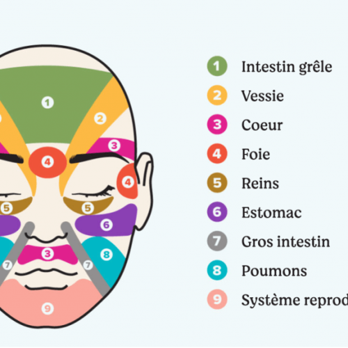 cartographie du visage méridiens du visage